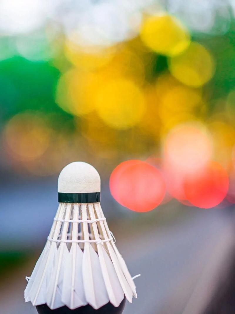 对搜索用户 对搜索用户